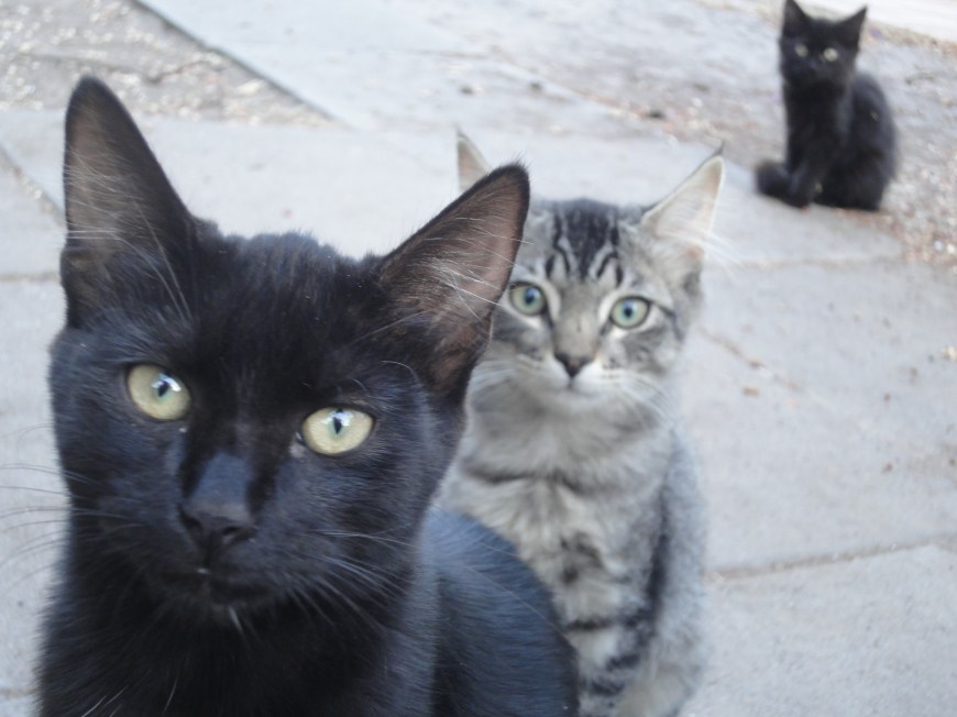 (foto feita pela Sil em fevereiro)