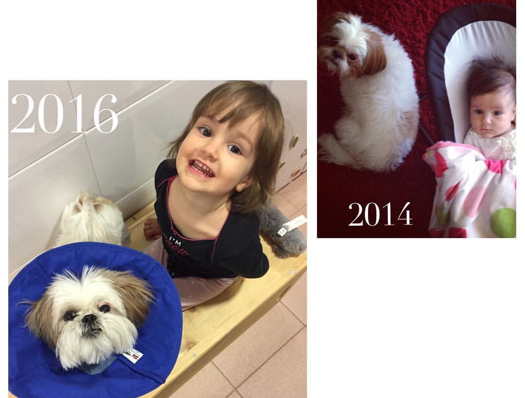 12719162_10156658431030214_2149123857780058290_o